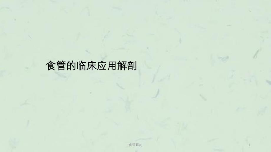 食管解剖课件_第1页