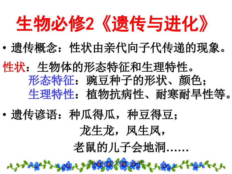 孟德尔豌豆杂交实验一讲课件_第1页