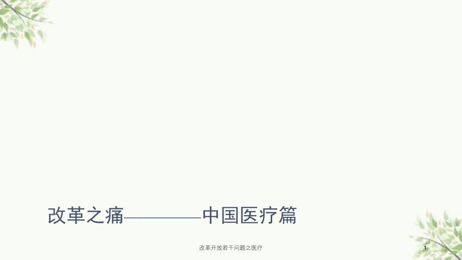 改革开放若干问题之医疗课件_第1页