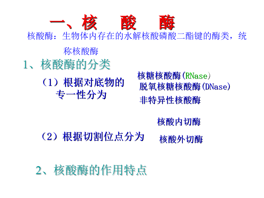 生物化学第十章核酸的酶促降解和核苷酸代谢_第4页