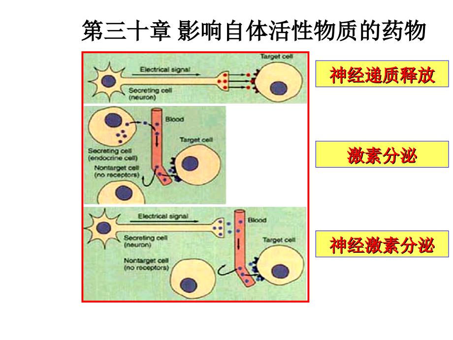 药理学影响自体活性质药物_第1页