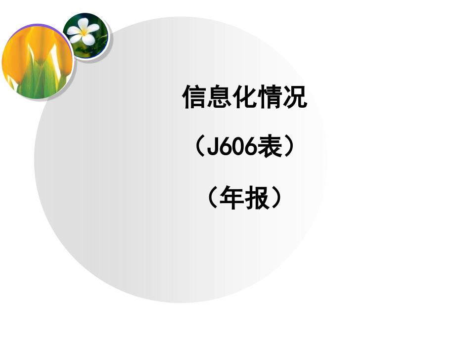 信息化情况J606表年报_第1页