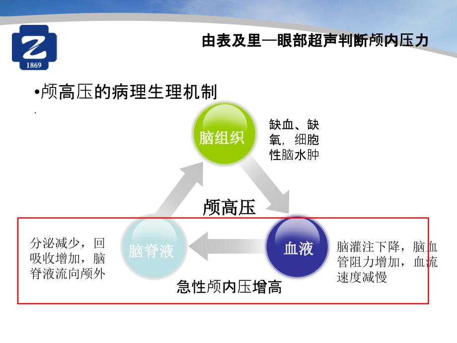 由表及里眼部超声判断颅内压力_第4页