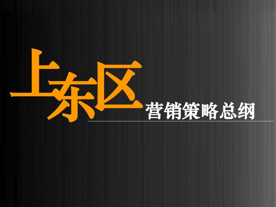 上东区沙井项目策略总纲_第1页