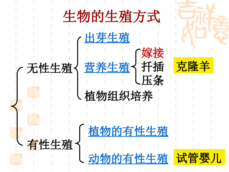 苏教版物八上复习资料_第2页