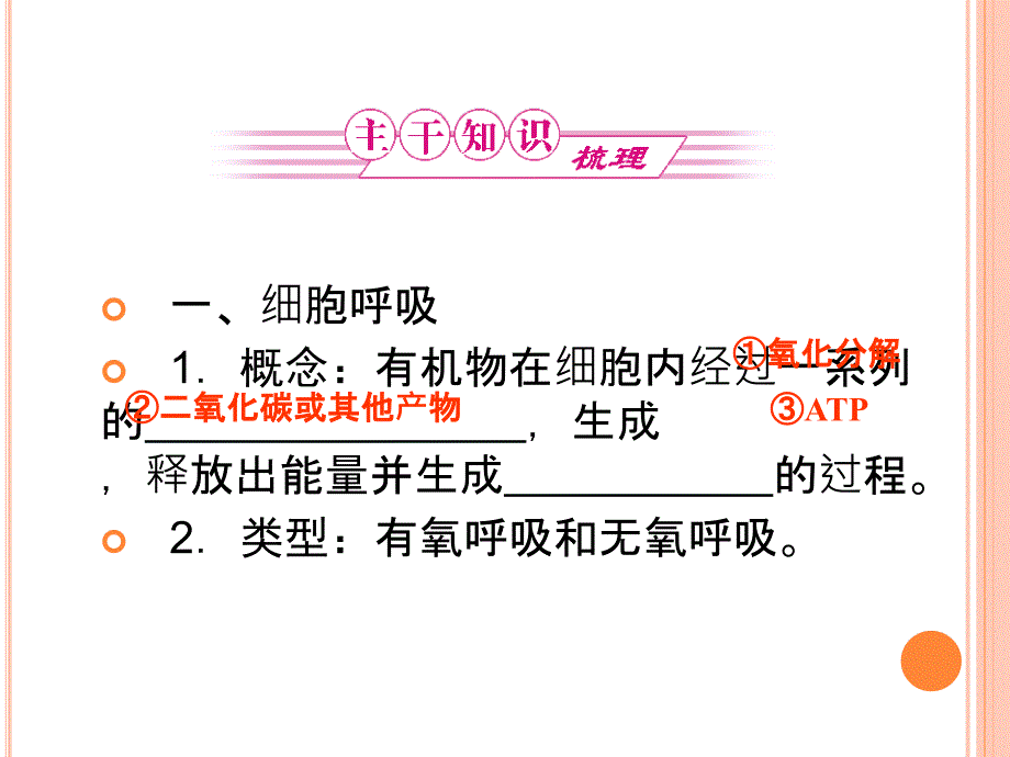 2011高考生物一轮复习课件：必修一5-3_ATP的主要来源——细胞呼吸_第2页