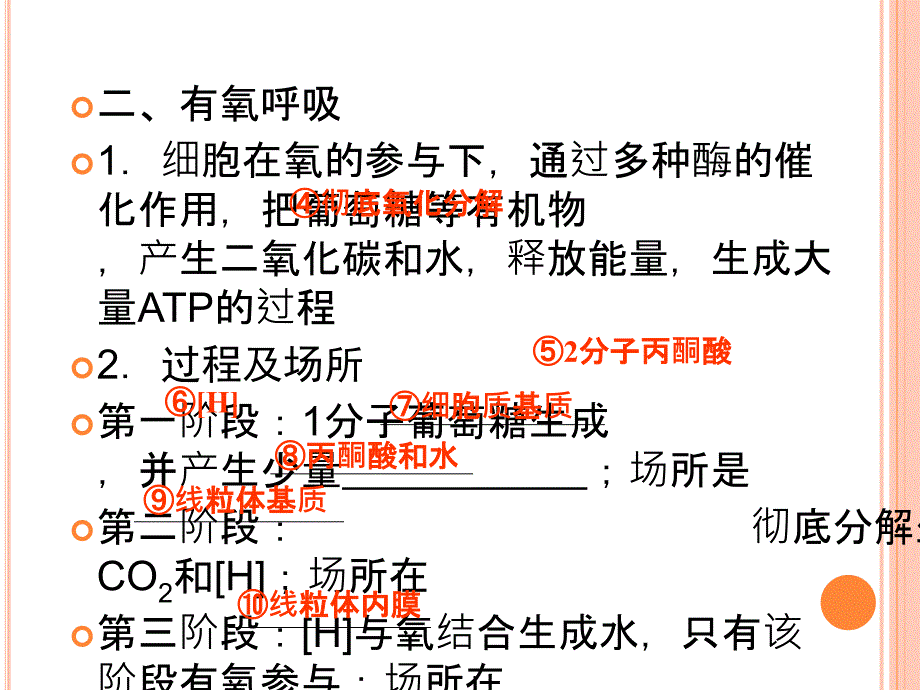 2011高考生物一轮复习课件：必修一5-3_ATP的主要来源——细胞呼吸_第3页