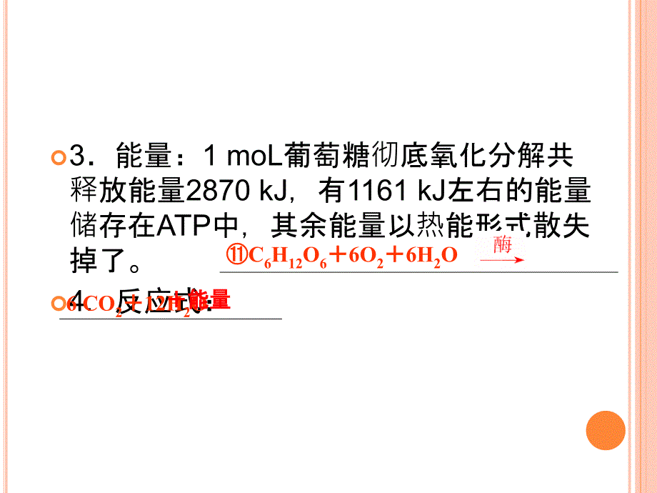 2011高考生物一轮复习课件：必修一5-3_ATP的主要来源——细胞呼吸_第4页