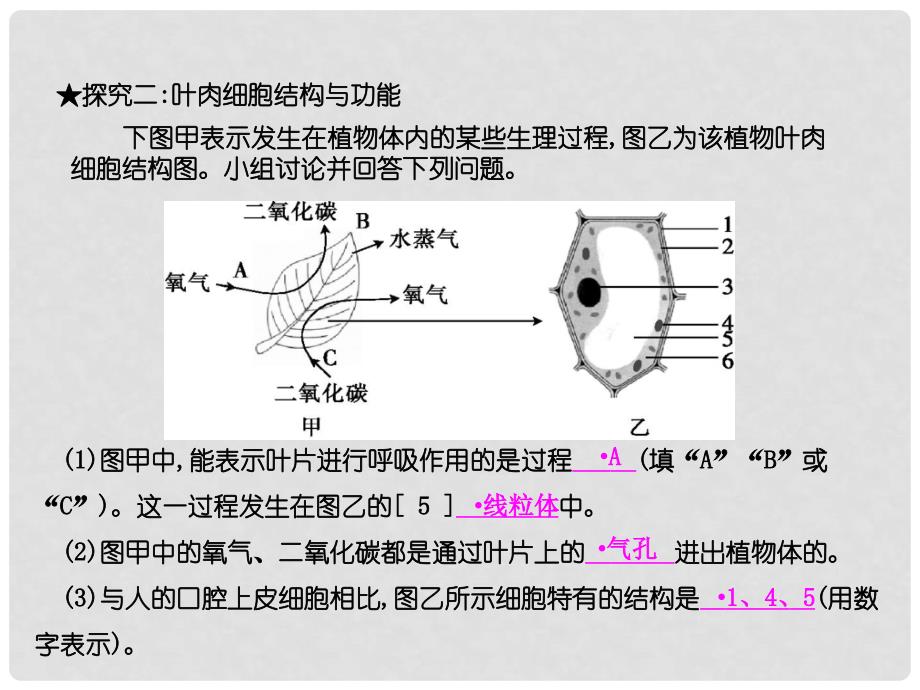 八年级生物上册 3.4.1 呼吸作用课件 （新版）冀教版_第4页