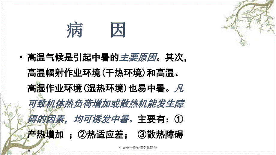 中暑电击伤淹溺急诊医学_第3页