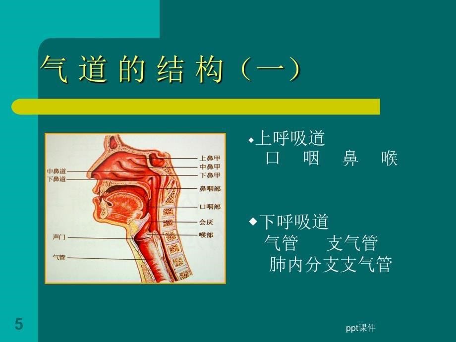 气道管理课件_第5页