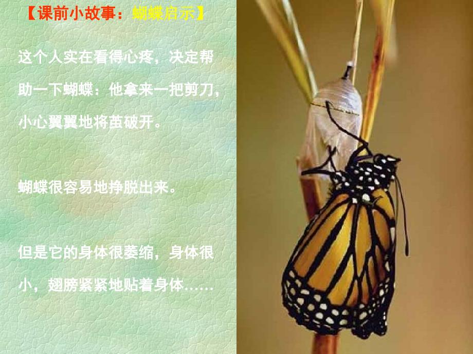 培训课前小哲理故事.ppt_第3页