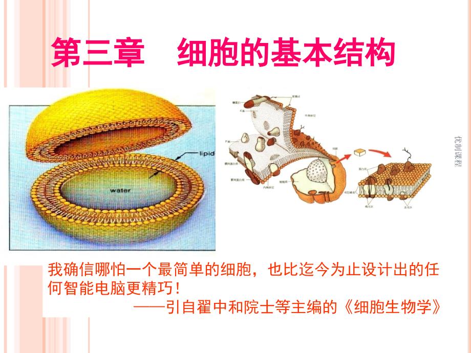 细胞膜—系统的边界PPT（学习材料）_第1页