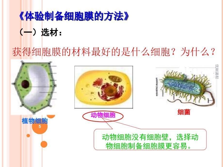 细胞膜—系统的边界PPT（学习材料）_第5页