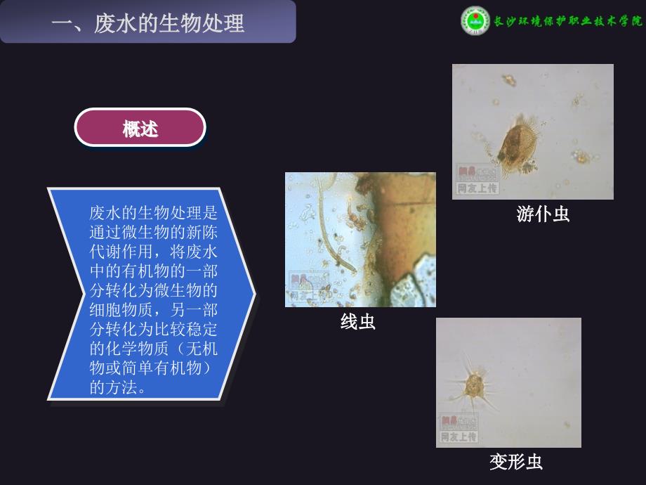 5 废水的好氧生物处理.ppt_第3页