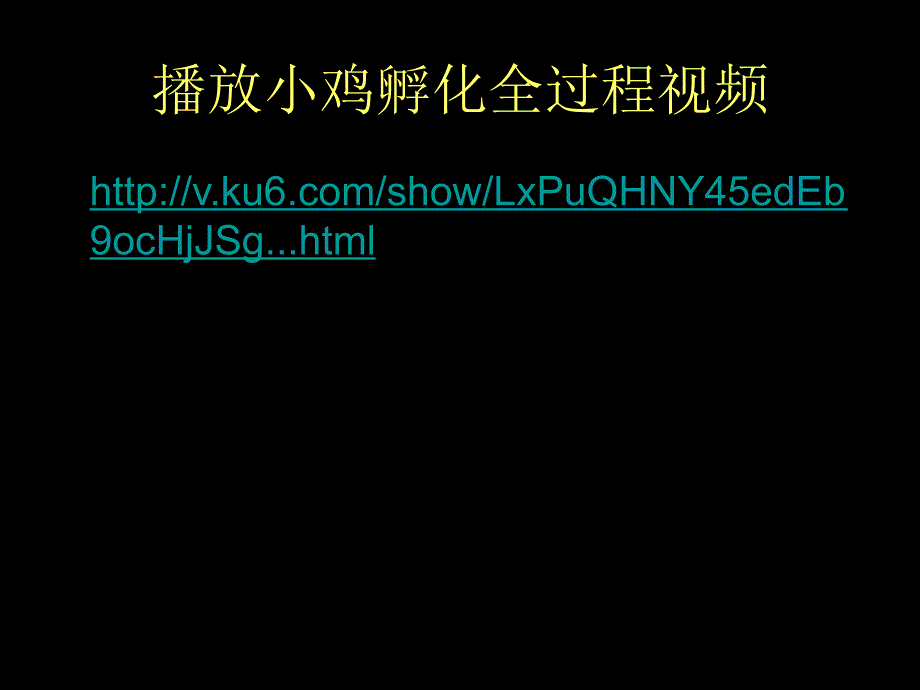 人美版小学二年级下册美术课件《出壳了》课件2_第4页