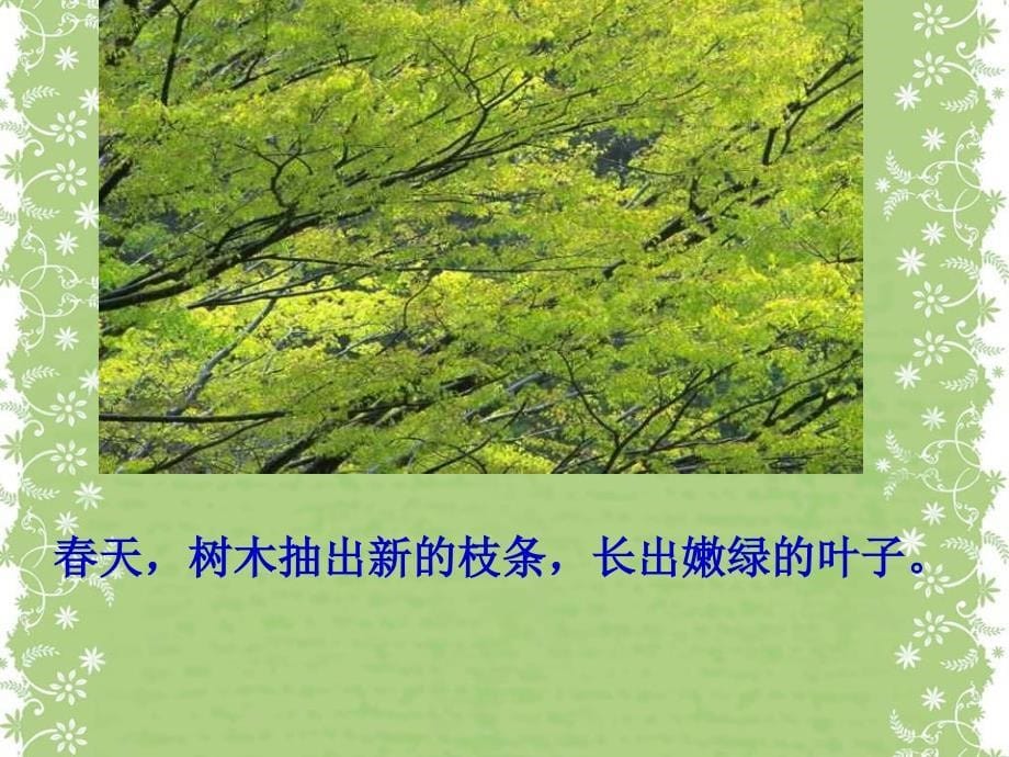 《美丽的小兴安岭》PPT课件(修改版)_第5页