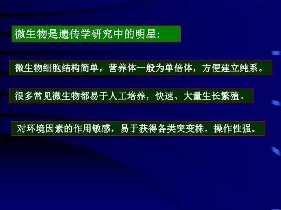 最新天津工业大学考研微生物课件19PPT课件_第5页