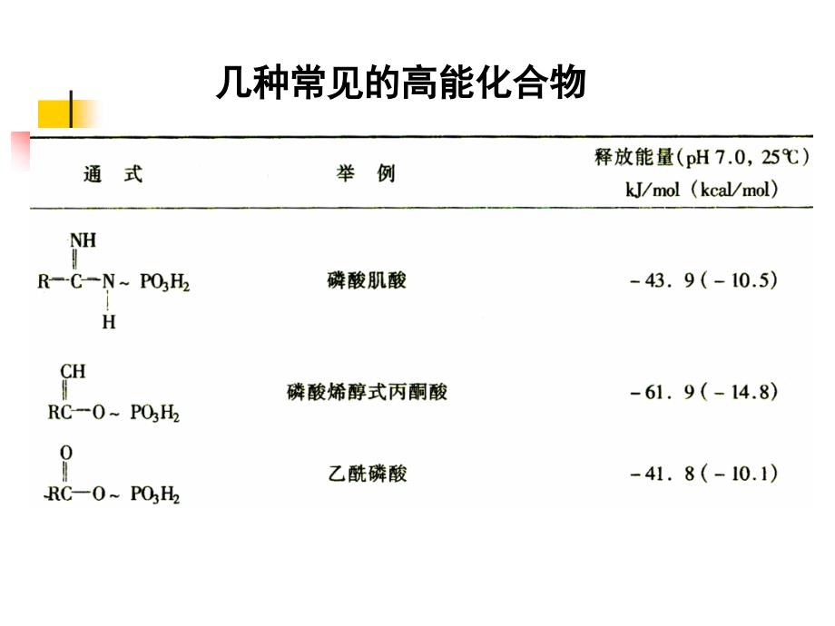 生物化学：第8章 生物氧化_第3页