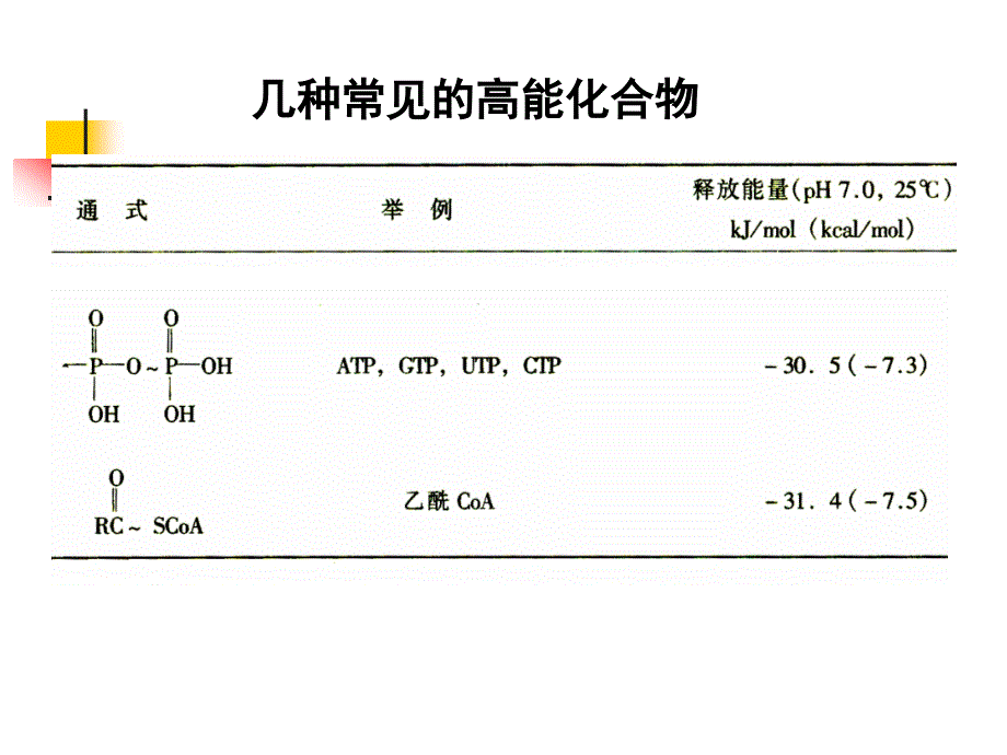 生物化学：第8章 生物氧化_第4页