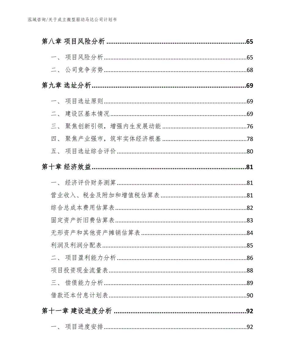 关于成立微型驱动马达公司计划书_第4页