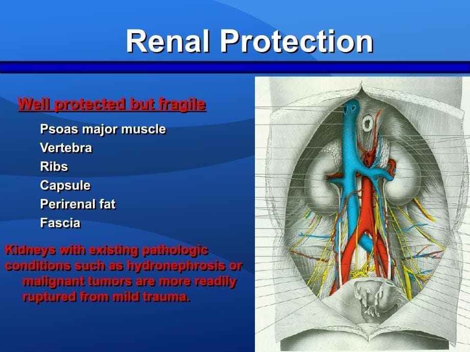 外科学教学课件：Urogenital Injuries_第5页