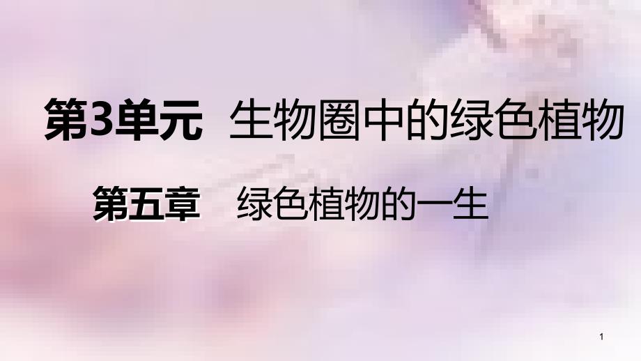 七年级生物上册第三单元第五章第二节植物根的生长课件新版苏教版_第1页