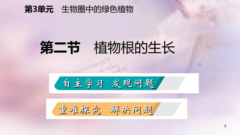 七年级生物上册第三单元第五章第二节植物根的生长课件新版苏教版_第2页