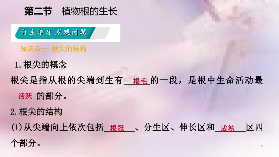 七年级生物上册第三单元第五章第二节植物根的生长课件新版苏教版_第4页