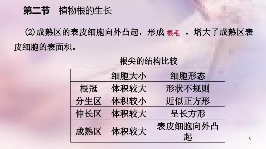 七年级生物上册第三单元第五章第二节植物根的生长课件新版苏教版_第5页