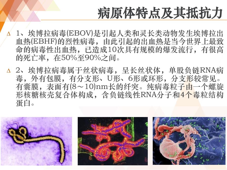 埃博拉预防与控制课件_第4页