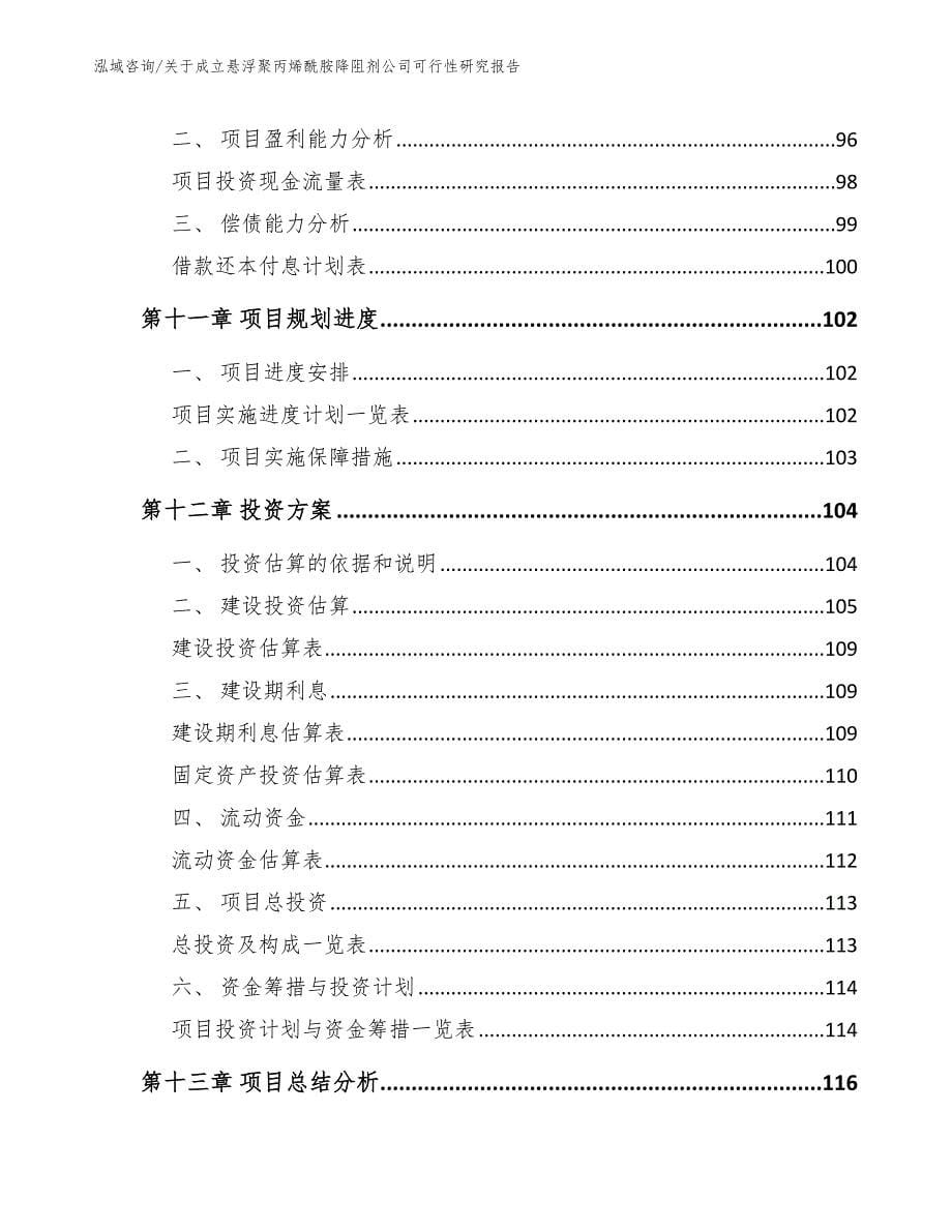 关于成立悬浮聚丙烯酰胺降阻剂公司可行性研究报告（参考范文）_第5页