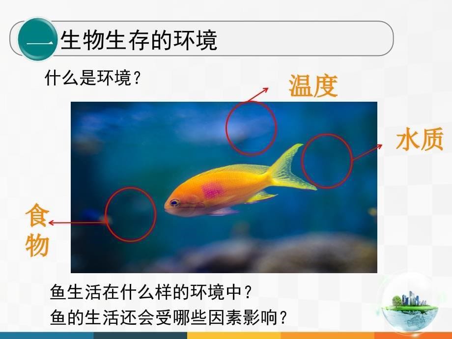 人教版七年级上册生物课件1.2.1生物与环境的关系共25张PPT_第5页