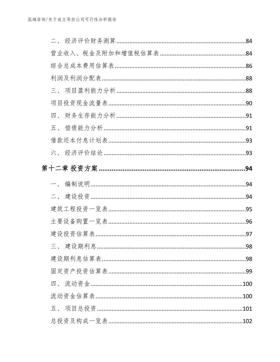 关于成立导丝公司可行性分析报告【模板范文】_第5页