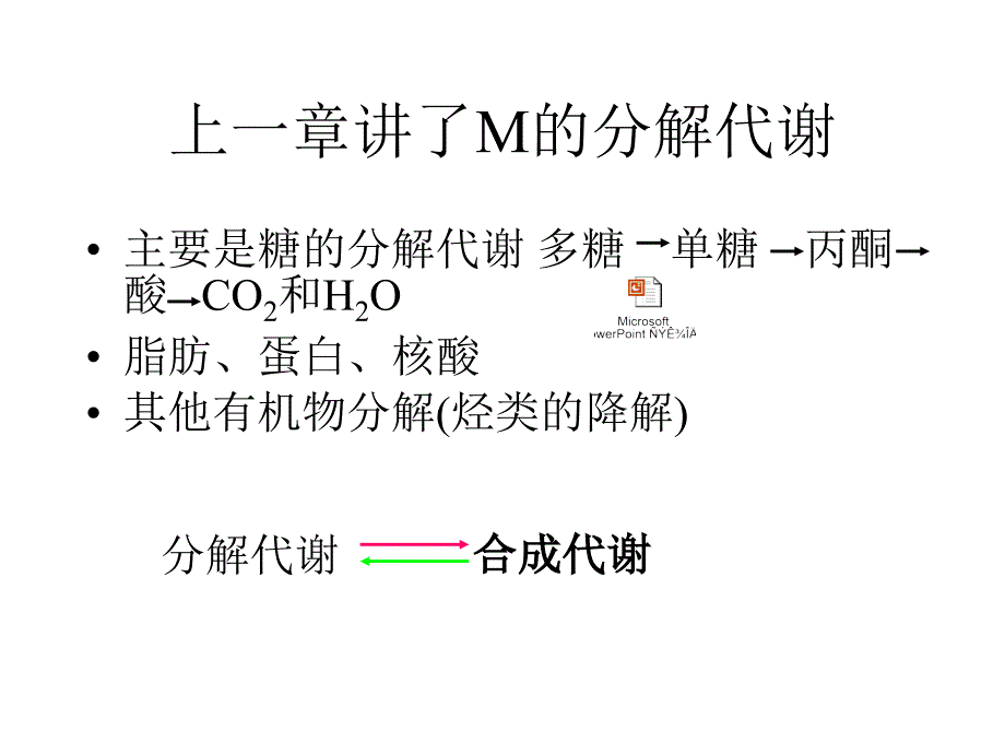 微生物的合成代谢_第1页