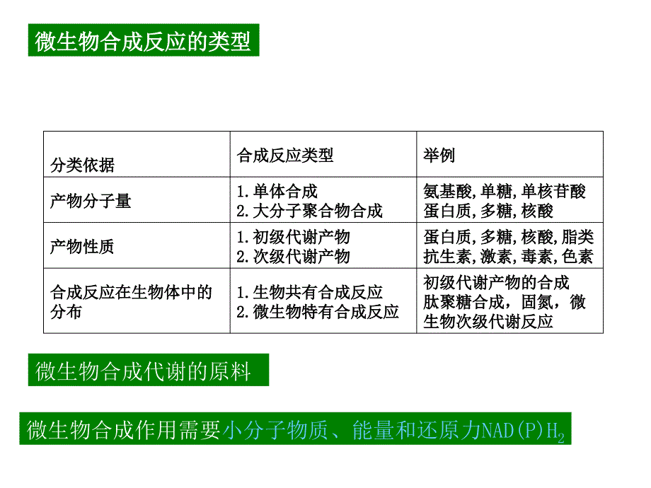 微生物的合成代谢_第3页