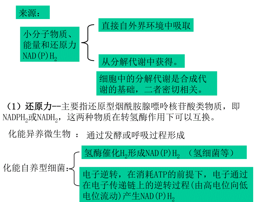 微生物的合成代谢_第4页