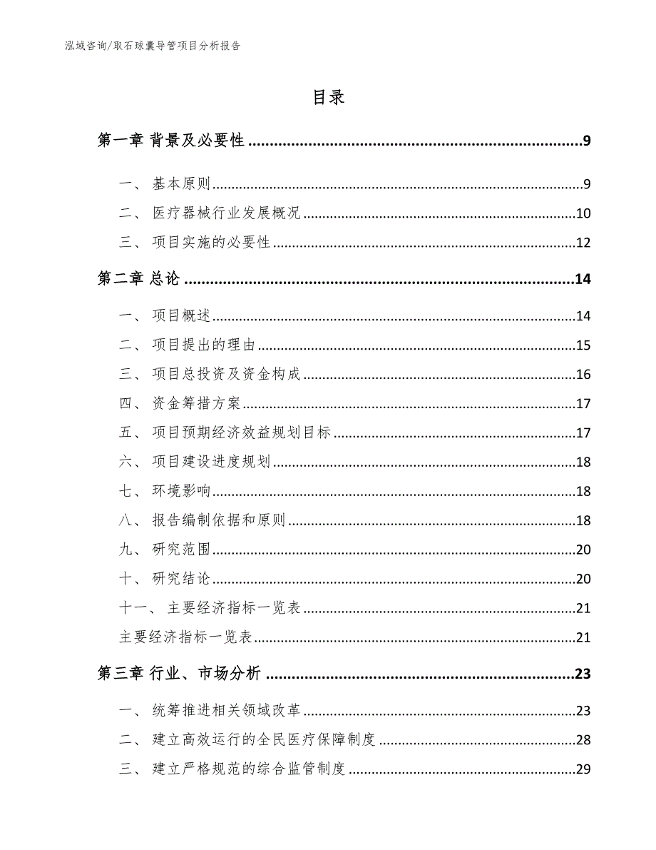 取石球囊导管项目分析报告_第2页