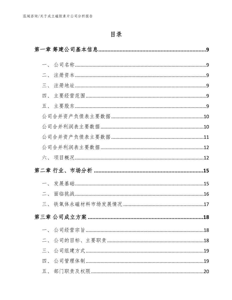 关于成立磁胶素片公司分析报告_范文模板_第4页