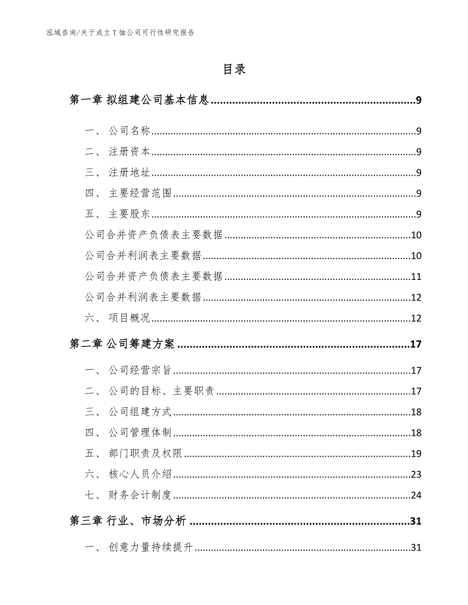 关于成立T恤公司可行性研究报告_第4页