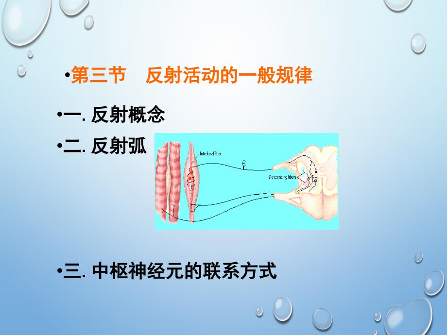 系统生理工程学 (29)_第1页