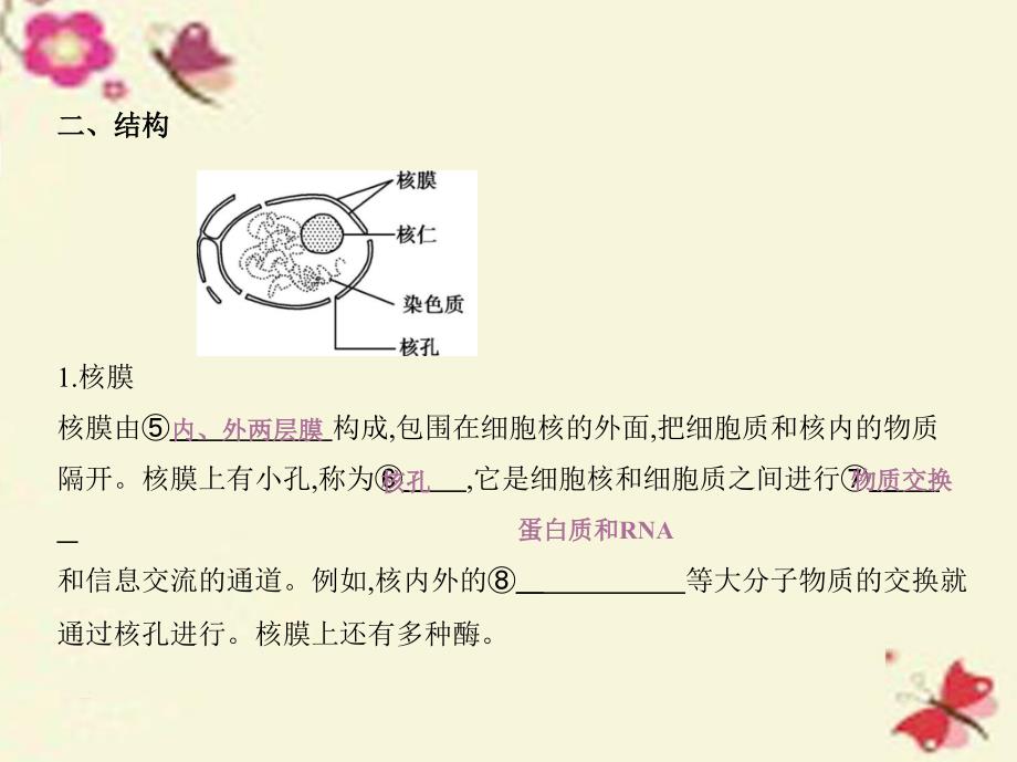 （江苏专）高考生物一轮复习 第二单元 细胞的结构和功能（第8课时）细胞核和生物膜系统课件_第4页