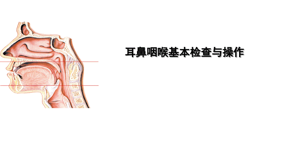 耳鼻咽喉基本检查与操作_第1页