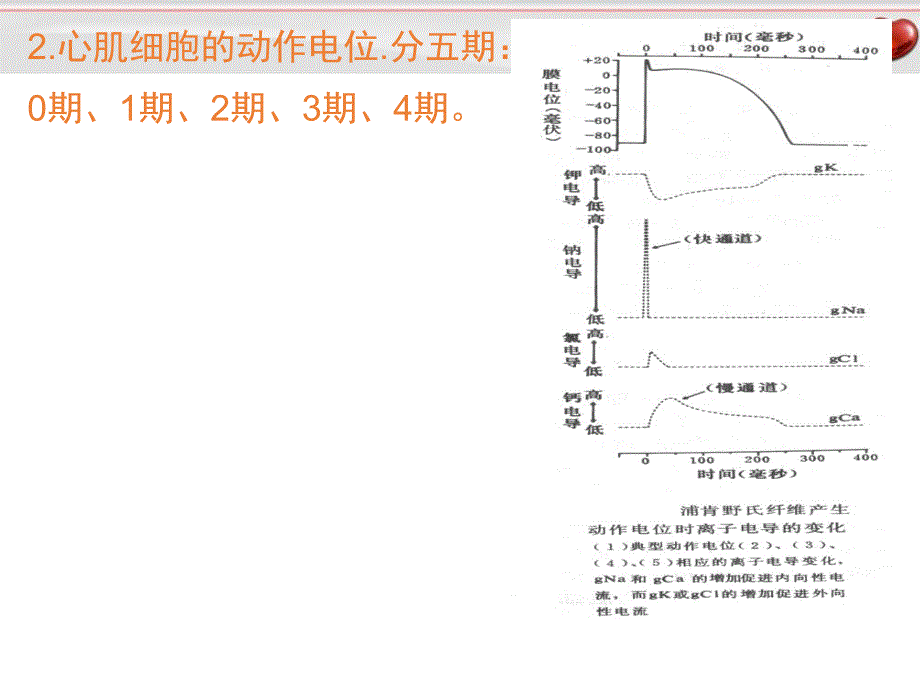 优质课件电源及电穴概念_第4页