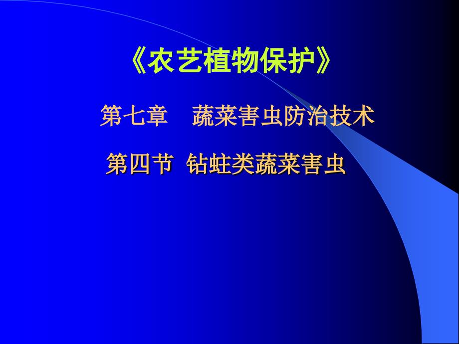 钻蛀类蔬菜害虫PPT课件_第1页