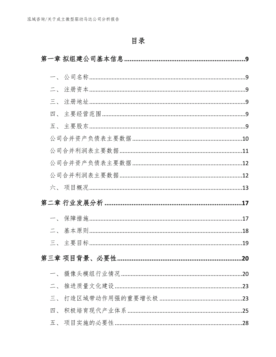 关于成立微型驱动马达公司分析报告_模板参考_第2页