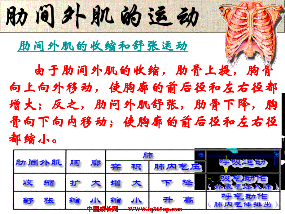 《初二生理卫生》PPT课件_第4页