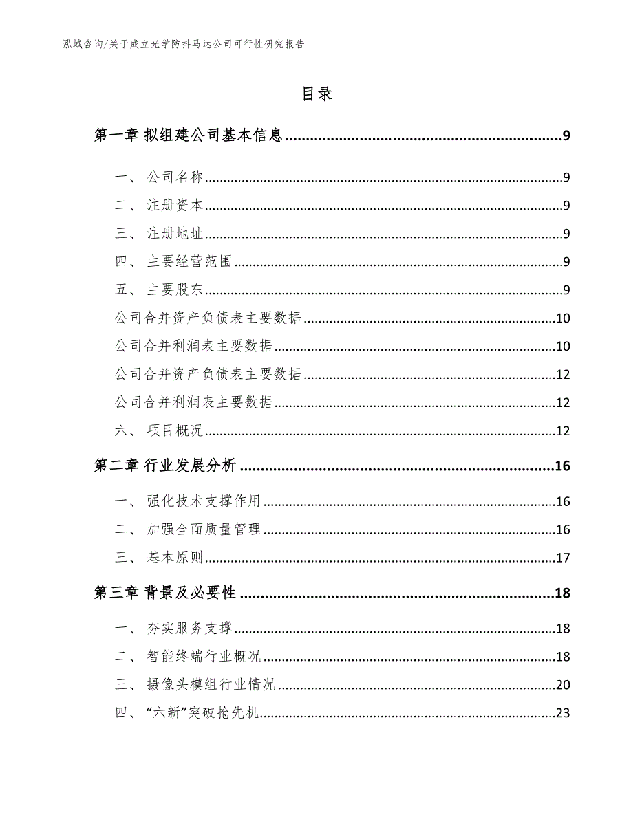 关于成立光学防抖马达公司可行性研究报告模板_第2页