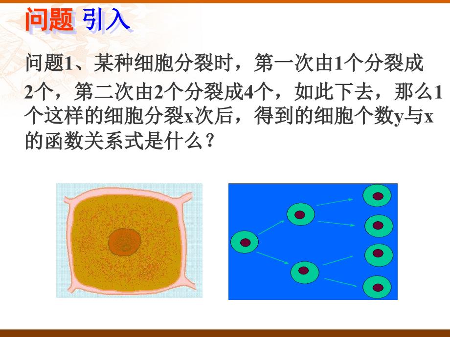 《212指数函数及其性质11》课件_第2页