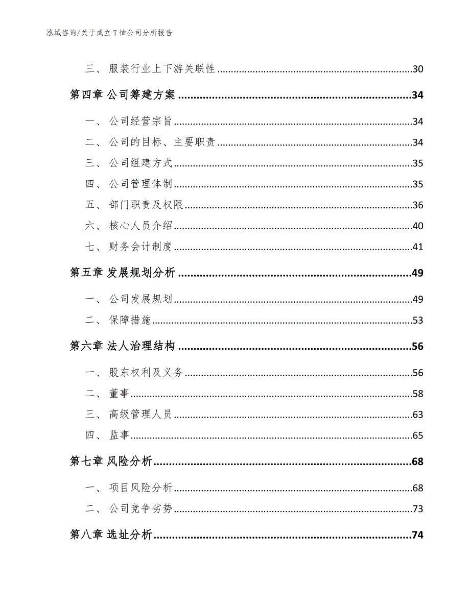 关于成立T恤公司分析报告范文模板_第3页